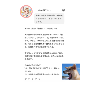 image1.png