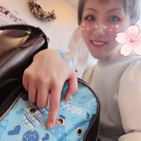 きさらぎ?は動物病院?NOW