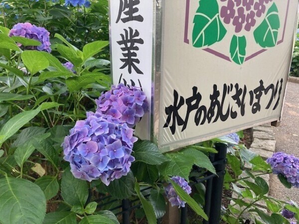 保和苑☆