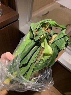 これを…