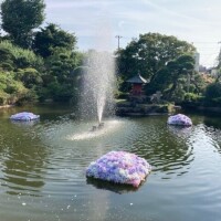 気づいたら☆