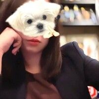 滅亡しないっぽい!