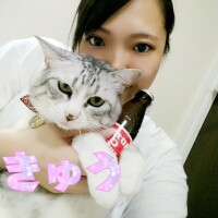 次回20時～