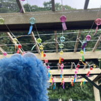 明日からだよ?