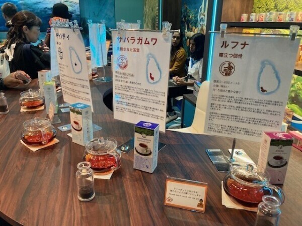スリランカ☆