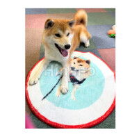 アラシ部長に贈呈式?