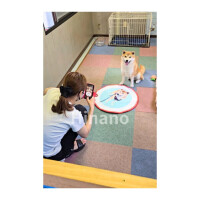 アラシくん?とひなの?