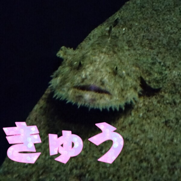 次回22:30～