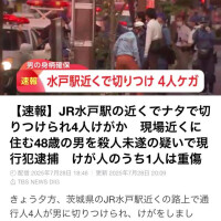 まひろ