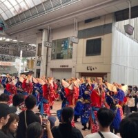 せれな
