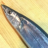 いとは