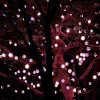 デジタルアート!