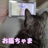 一緒に見てるの