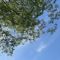 こんにちは!次回出勤のお知らせです?
