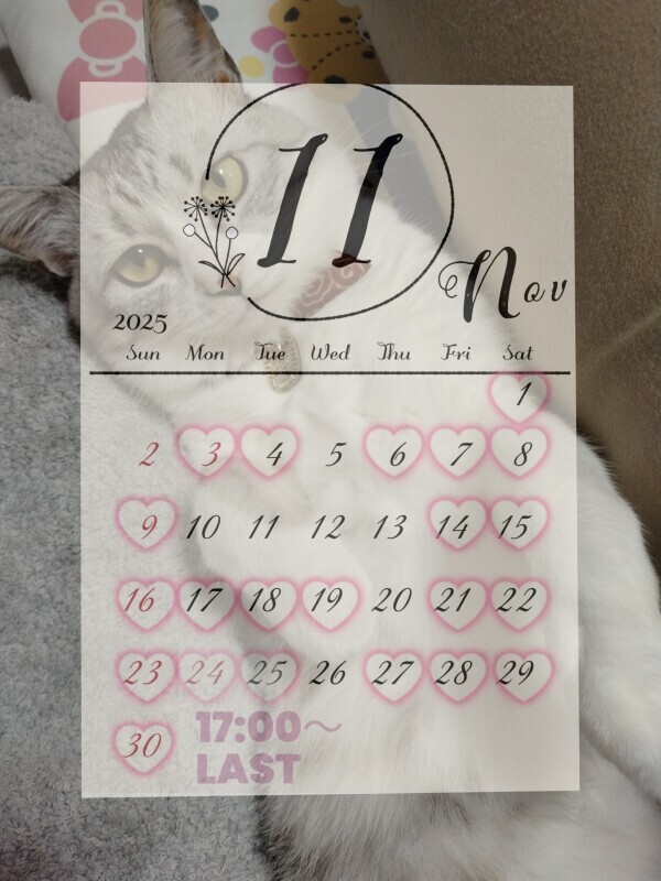 ?11月の予定表?