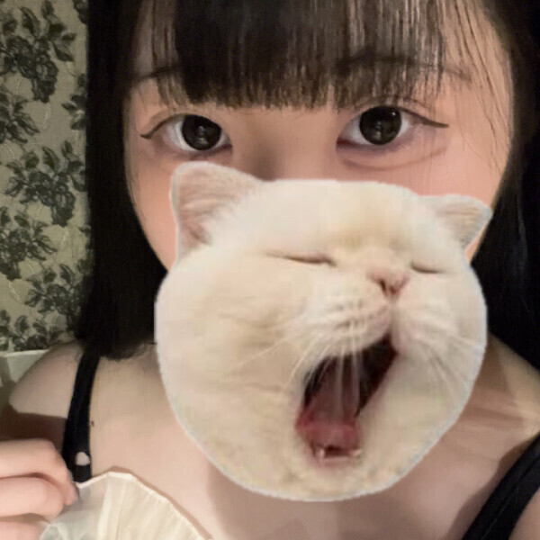 3日間よろしくお願いします??