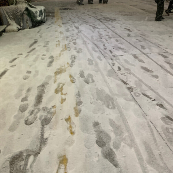 ありがとうでした