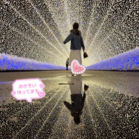 イルミネーションの時期??