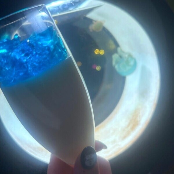 映えとは、、、?