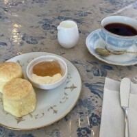 12月後半の予定☆