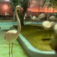 どんなに強がってもやっぱり人肌は恋しくなってしまうもので