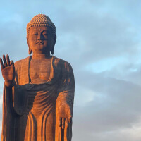 七面鳥もってこい、これが七面鳥か