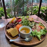 1月後半の予定☆