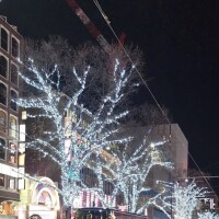 また居るよう(??????)??