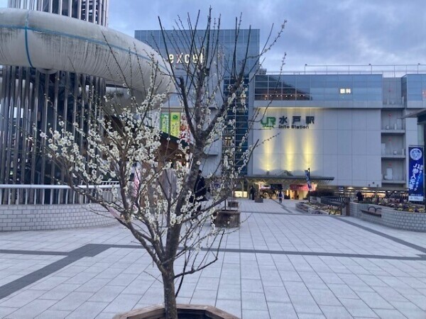 おはようございます☆