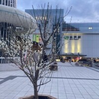 おはようございます☆