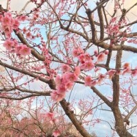 来月前半の予定☆