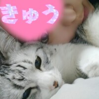 1年経ちました!