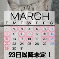 3月シフト!