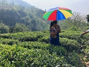 紅茶工場見学☆