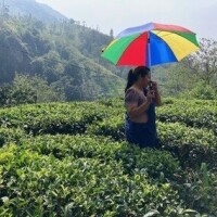 紅茶工場見学☆