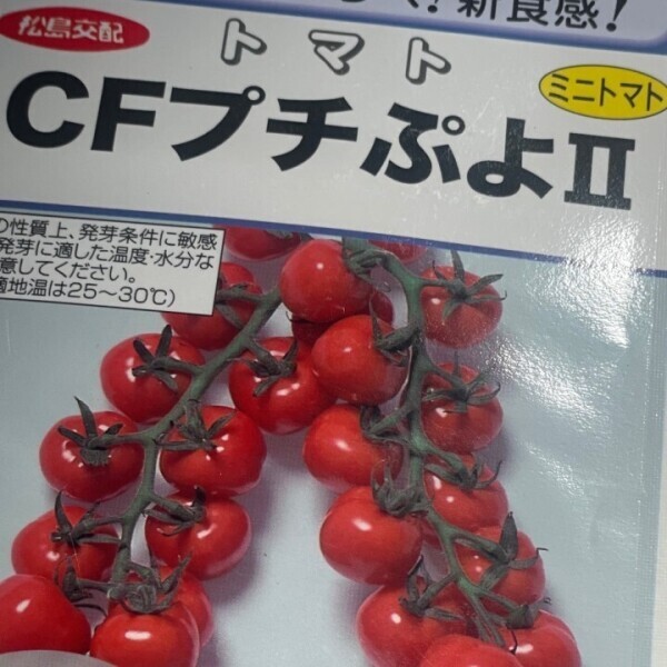 出勤したよ～♪