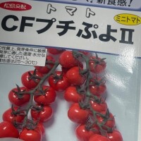 出勤したよ～♪