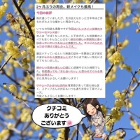 クチコミ投稿御礼??