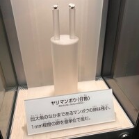 誰もなにも突っ込まなかったのか