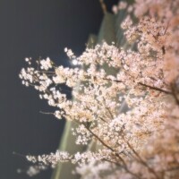 安らげる居場所をどうぞ