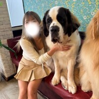 デカ犬?