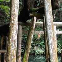 出勤日のおしらせ??(お待たせしました><)