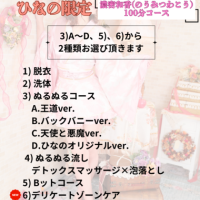 100分で楽しむ、ひなの時間?