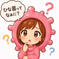 ひなの