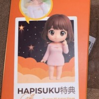 ハピスク特典