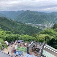 せれな