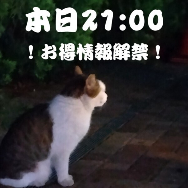 ??…今見て…??