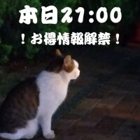 ??…今見て…??