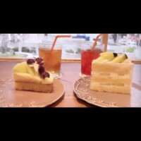 明日から??