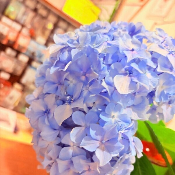 出勤しましたー